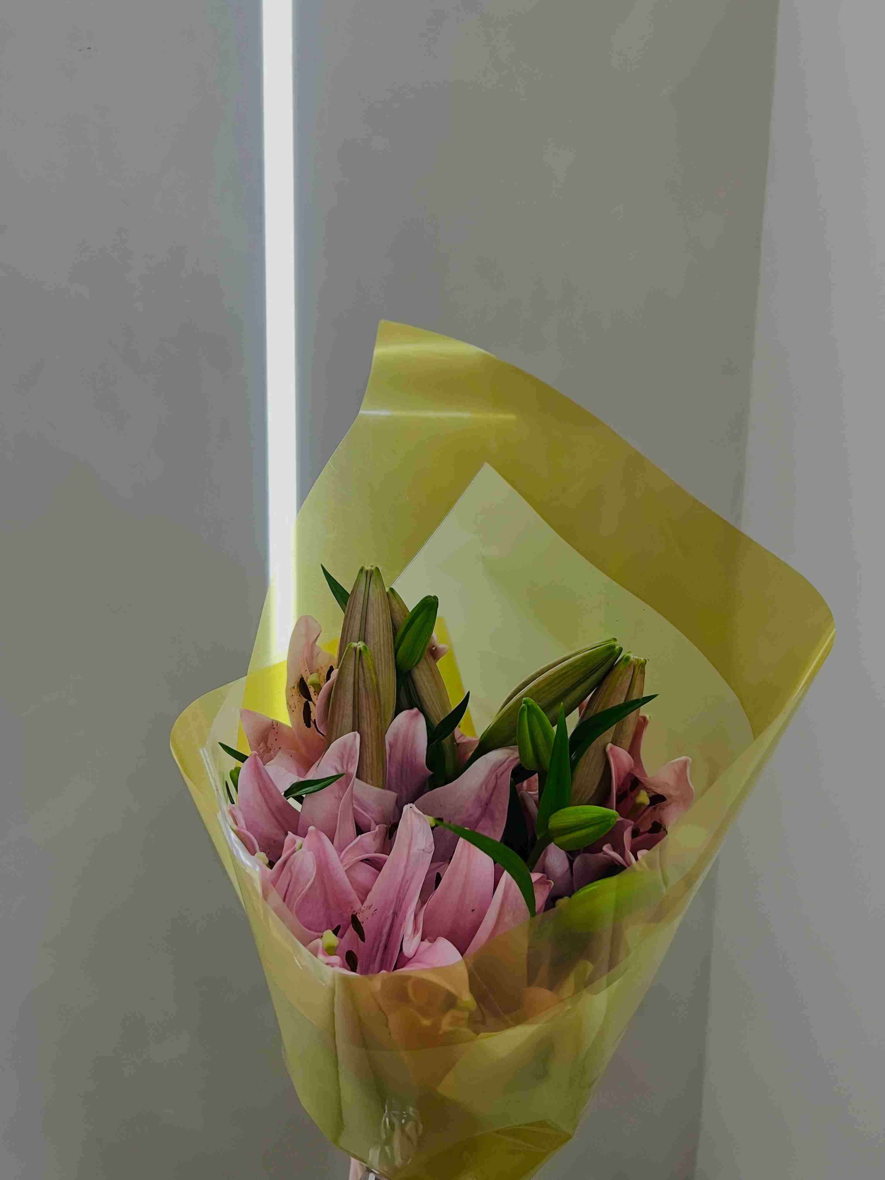 Instagram post - Flores