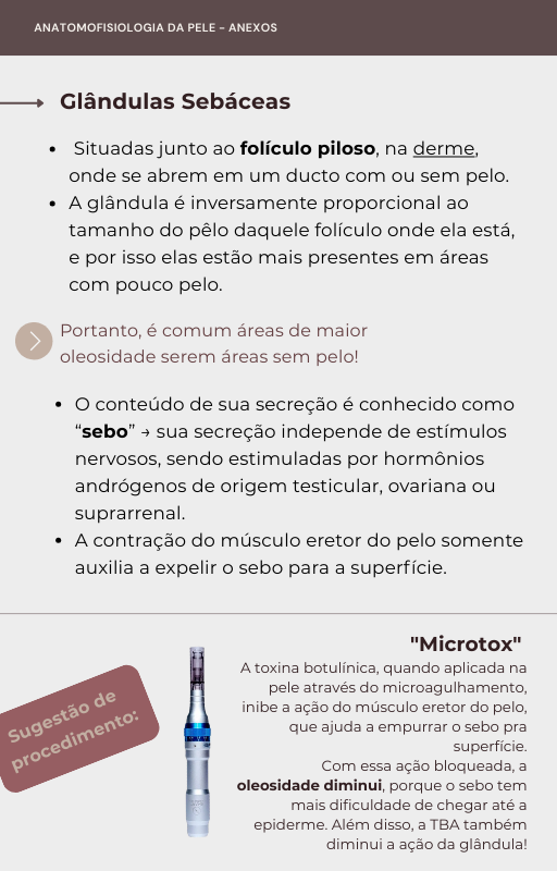 Página do livro digital - Glândulas sebáceas
