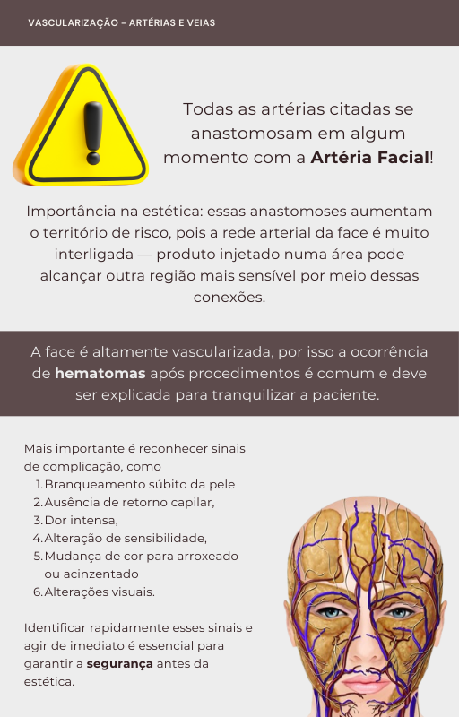 Página do livro digital - Artérias e veias